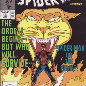 Spectacular Spider-Man, The-781