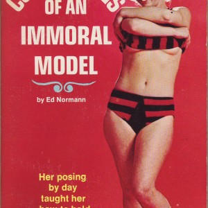 Confessions of an immoral Model-5611