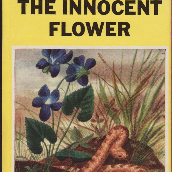Innocent Flower, the-7209