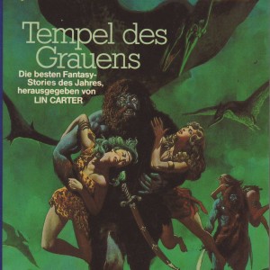 Terra Fantasy 81: Tempel des Grauens-9105