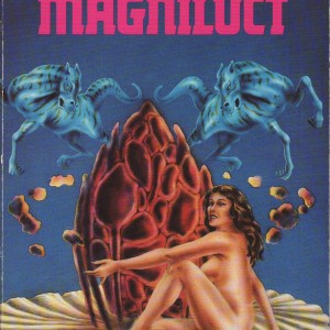 Magniluct-9981