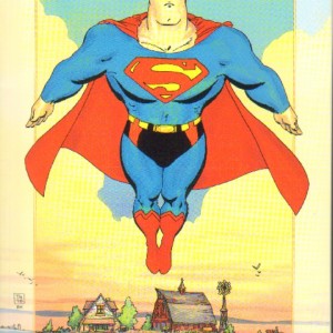 Superman For All Seasons-12398