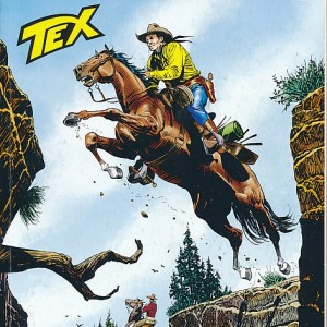 Tex-14312