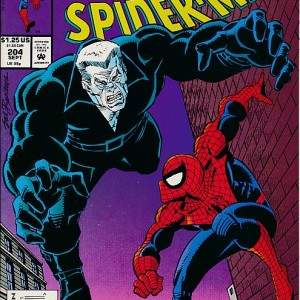 The spectacular Spider-Man-14493