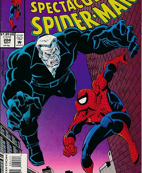 The spectacular Spider-Man-14493